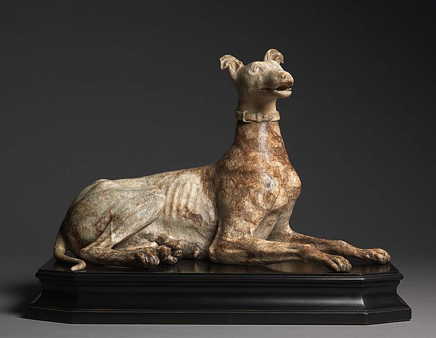 A seated greyhound